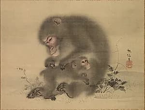 Monkeys by Mori Sosen (Japanese, 1747–1821)
