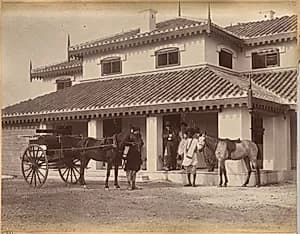 Mr. MacNull, Jhansi (verso) by Raja Deen Dayal (Indian, 1844–1905)