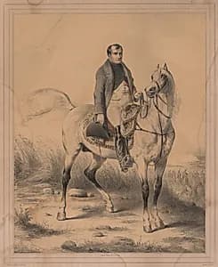 Napoleon by Ange-Louis Janet Lange (French, 1815–1872)