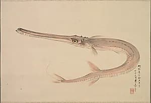 Needlefish (Yagara) by Nakajima Raishō (Japanese, 1796–1871)
