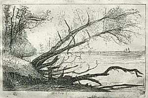 Old Sycamore by Otto H. Bacher (American, 1856–1909)