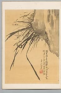 Orchid by Watanabe Kazan (Japanese, 1793–1841)