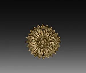 Ornamental Rosette by Unknown Artist