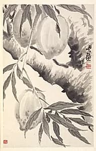 Peaches by Min Zhen (Chinese, 1730–after 1788)