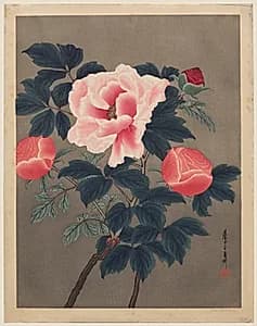 Peonies by Yoshijiro Urushibara (Japanese, 1889–1953)