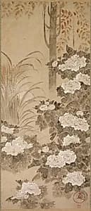 Peonies by Tatebayashi Kagei (Japanese, active mid-1700s)