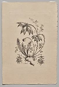 Persian Flowers by Jean Baptiste Pillement (French, 1728–1808)