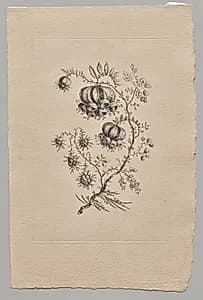 Persian Flowers by Jean Baptiste Pillement (French, 1728–1808)