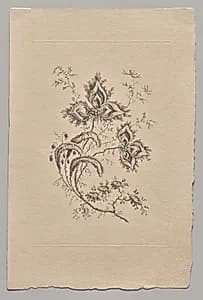 Persian Flowers by Jean Baptiste Pillement (French, 1728–1808)