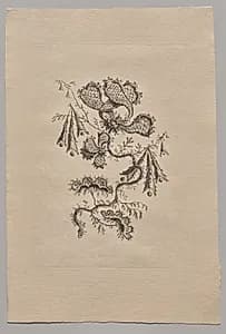 Persian Flowers by Jean Baptiste Pillement (French, 1728–1808)