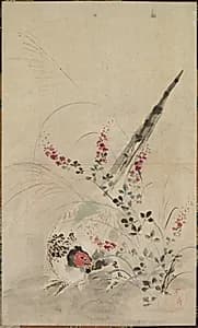 Pheasant and Grasses by Ogata Kōrin (Japanese, 1658–1716)