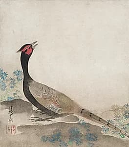 Pheasant by Ogata Kōrin (Japanese, 1658–1716)