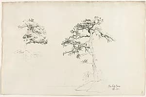 Pine, Lake George by David Johnson (American, 1827–1908)