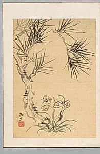 Pine Tree and Fungus by Tsubaki Chinzan (Japanese, 1801–1854)