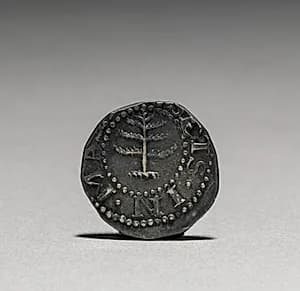 Pine Tree Sixpence (obverse) by John Hull (American, 1624–1683)