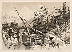 Pine Trees and Bridge by James Duffield Harding (British, 1798–1863)