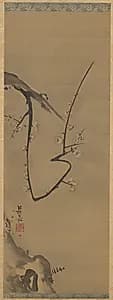 Plum Tree by Ogata Kōrin (Japanese, 1658–1716)
