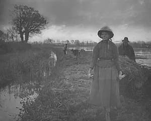 Poling the Marsh Hay by Peter Henry Emerson (British, 1856–1936)