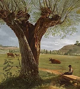 Pollard Willow by Pierre Jean Boquet (French, 1751–1817)