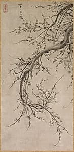 Prunus by Kano Einō (Japanese, 1631–1697)