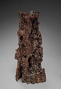 Prunus Wood by Unknown Artist