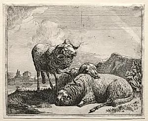 Ram and Two Sheep by Johann Heinrich Roos (German, 1631–1685)