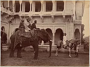 Ramkishore Singh of Rewa by Raja Deen Dayal (Indian, 1844–1905)