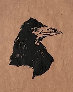 Raven's Head in Profile by Edouard Manet (French, 1832–1883)