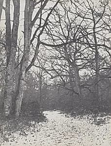 Road in the Forest by Eugène Cuvelier (French, 1837–1900)