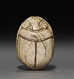 Scarab by Unknown Artist