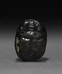 Scarab by Unknown Artist