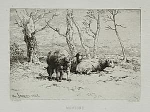 Sheep by Charles-Émile Jacque (French, 1813–1894)