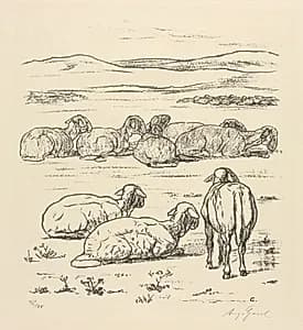 Sheep by August Gaul (German, 1869–1921)