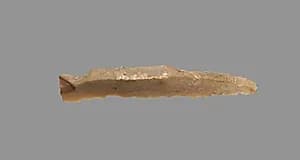 Sickle Blade by Unknown Artist