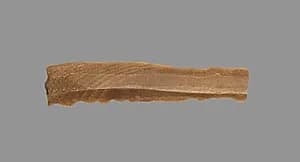 Sickle Blade by Unknown Artist
