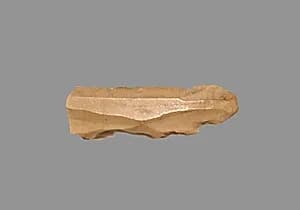 Sickle Blade by Unknown Artist