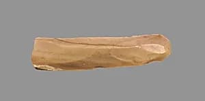 Sickle Blade by Unknown Artist