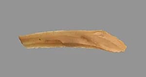 Sickle Blade by Unknown Artist