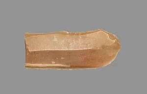 Sickle Blade by Unknown Artist