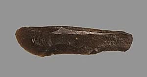 Sickle Blade by Unknown Artist