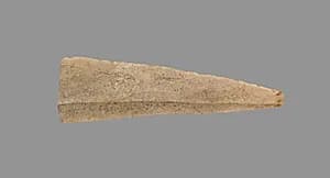 Sickle Blade by Unknown Artist