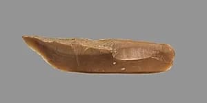 Sickle Blade by Unknown Artist