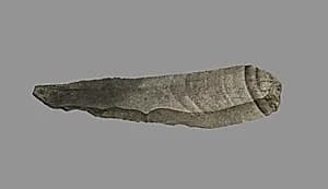 Sickle Blade by Unknown Artist