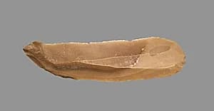 Sickle Blade by Unknown Artist