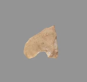Sickle Blade by Unknown Artist