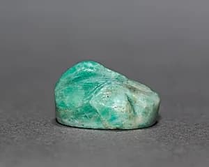 Sleeping Duck Amulet by Unknown Artist