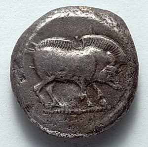 Stater: Boar (obverse) by Unknown Artist