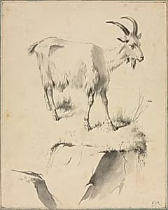 Study of a Goat by Jean Jacques de Boissieu (French, 1736–1810)
