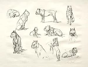 Study of Dogs by August Gaul (German, 1869–1921)