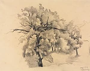 Study of Trees by Roger de La Fresnaye (French, 1885–1925)